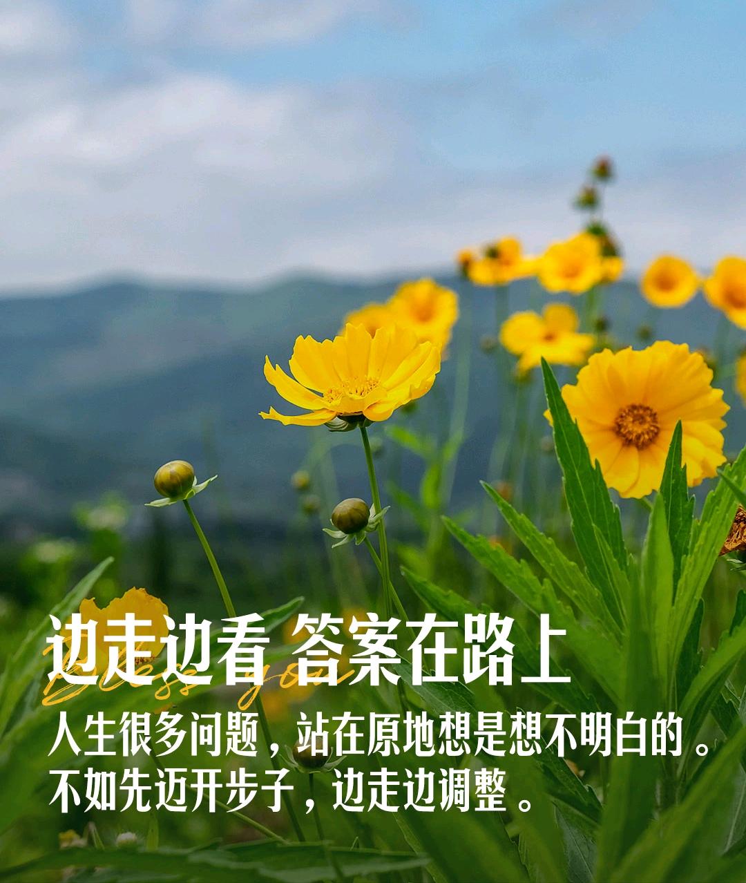 【春之韵·边走边看，答案在路上】记录我的2026

人生很多问题，
站在原地是想