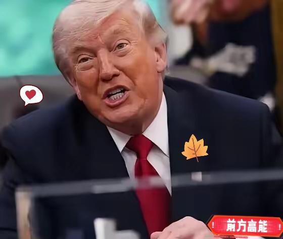 七、给你讲个真事，看看什么叫“一刀切”

得州有个叫“孤星风能”的项目，总投资两