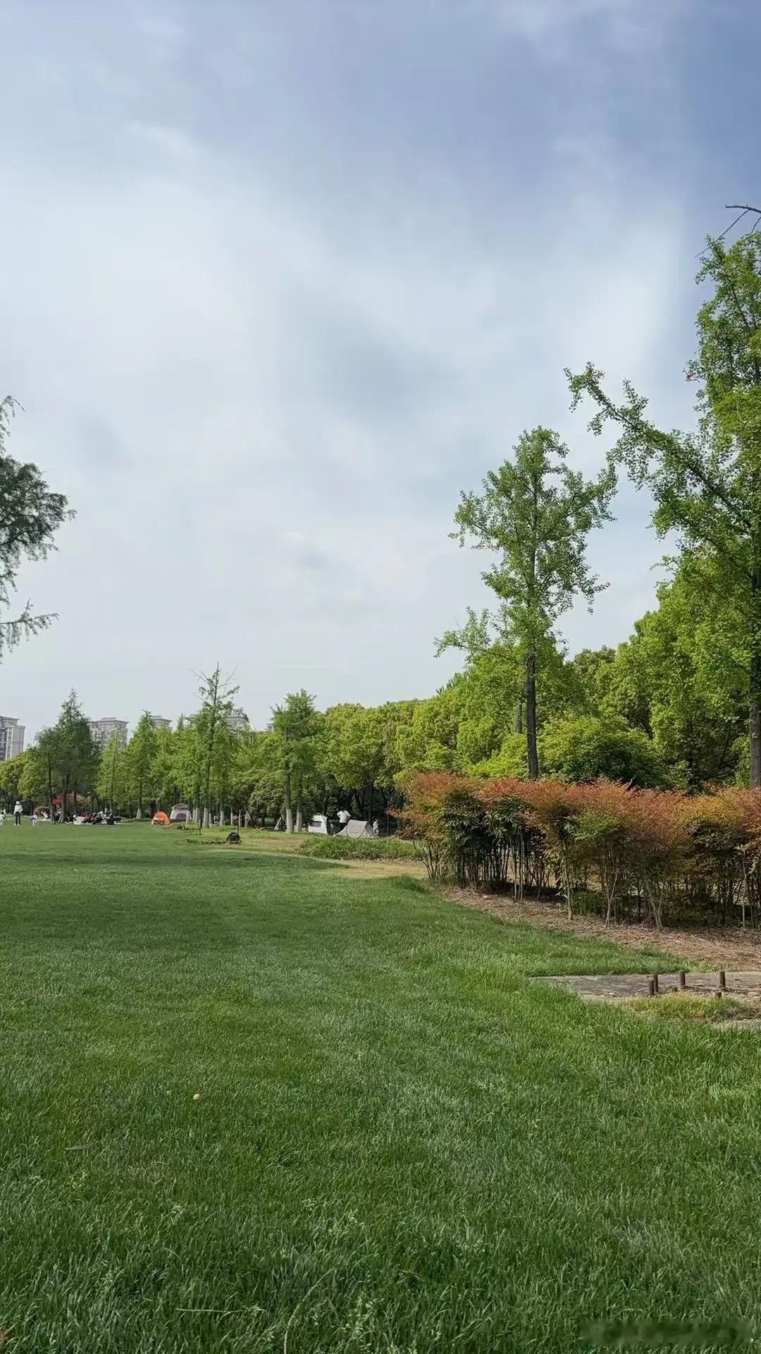 父母最大的失败，就是养出这4种孩子：1、养出白眼狼。你掏心掏肺，他当成理所应当。