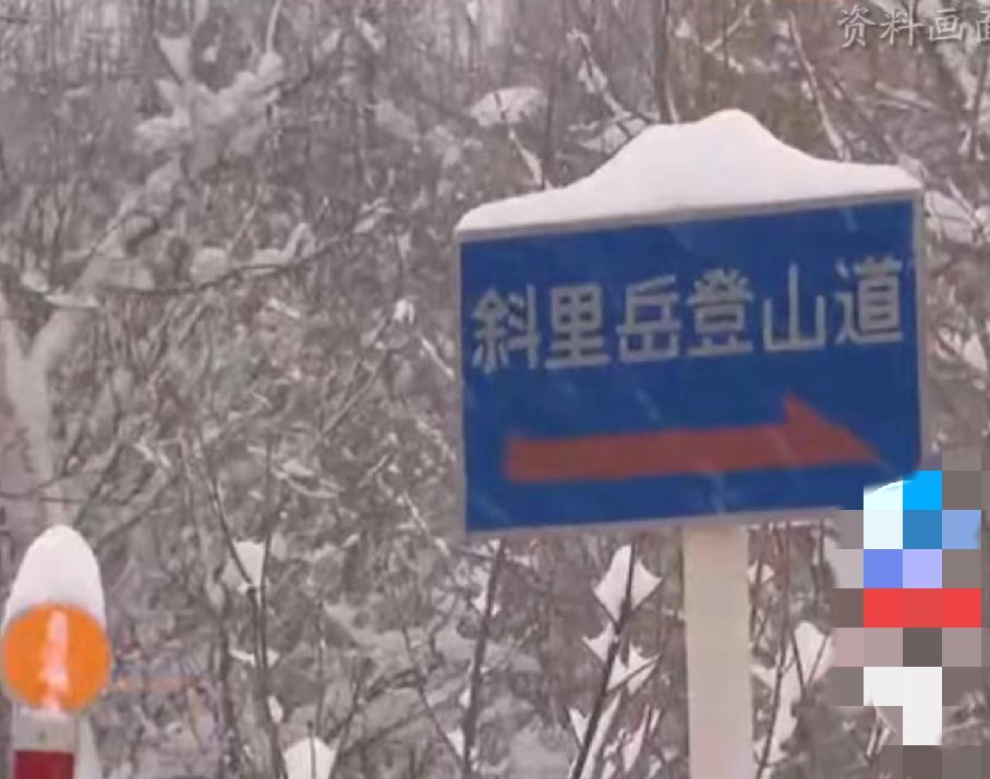 悲剧！一月失踪，十一月被发现，只剩白骨残肢。据媒体披露，日本警方11月5日在北海