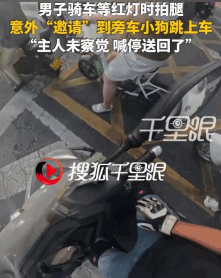 拍腿就是暗号！河南，一男子骑车等红灯，因天气炎热，他下意识地拍了拍大腿。没曾想，