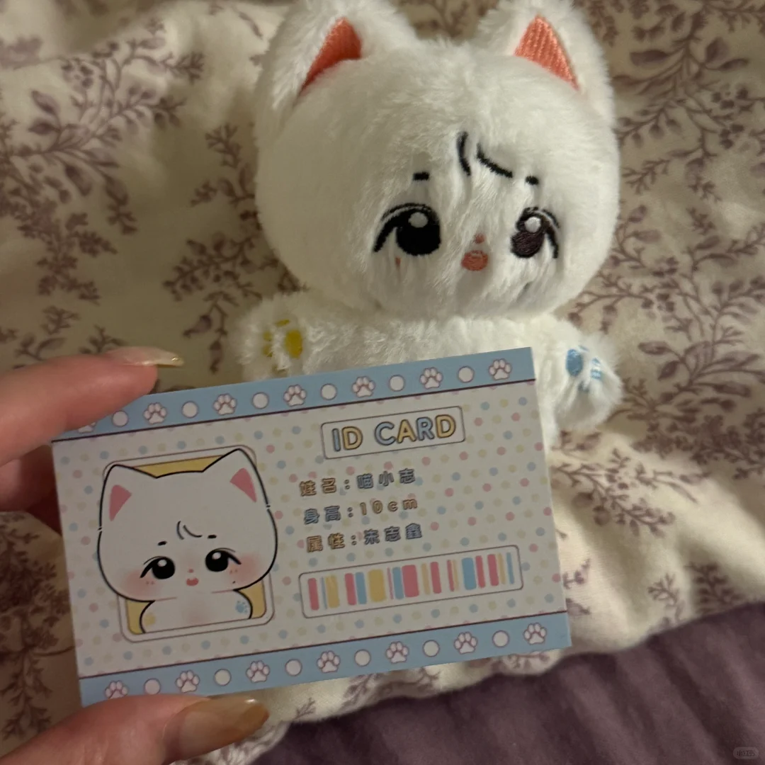🐱猫猫教