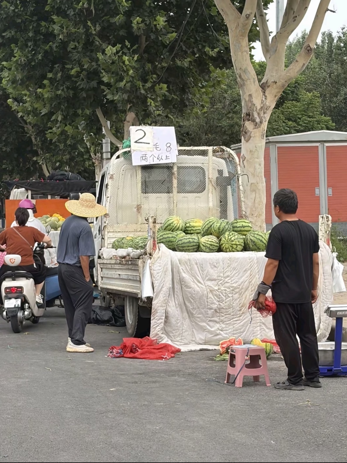 滞销西瓜被网红压价到一毛多一斤河南西瓜大量滞销，不少网红打着助农的旗号直播收瓜，