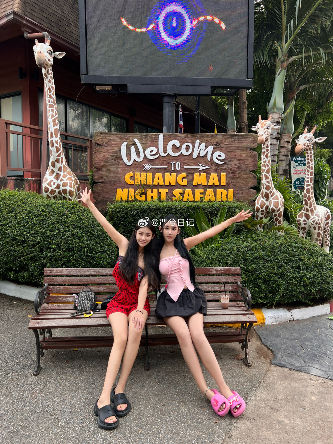 泰国旅行🇹🇭强推清迈夜间动物园！！全世界只有两个夜间动物园，一个在新加坡，一