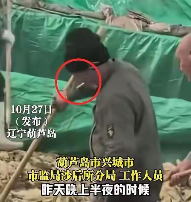 辽宁葫芦岛“老痰”酸菜最新处理结果及后续。
1，截止2025年11月20日，从事