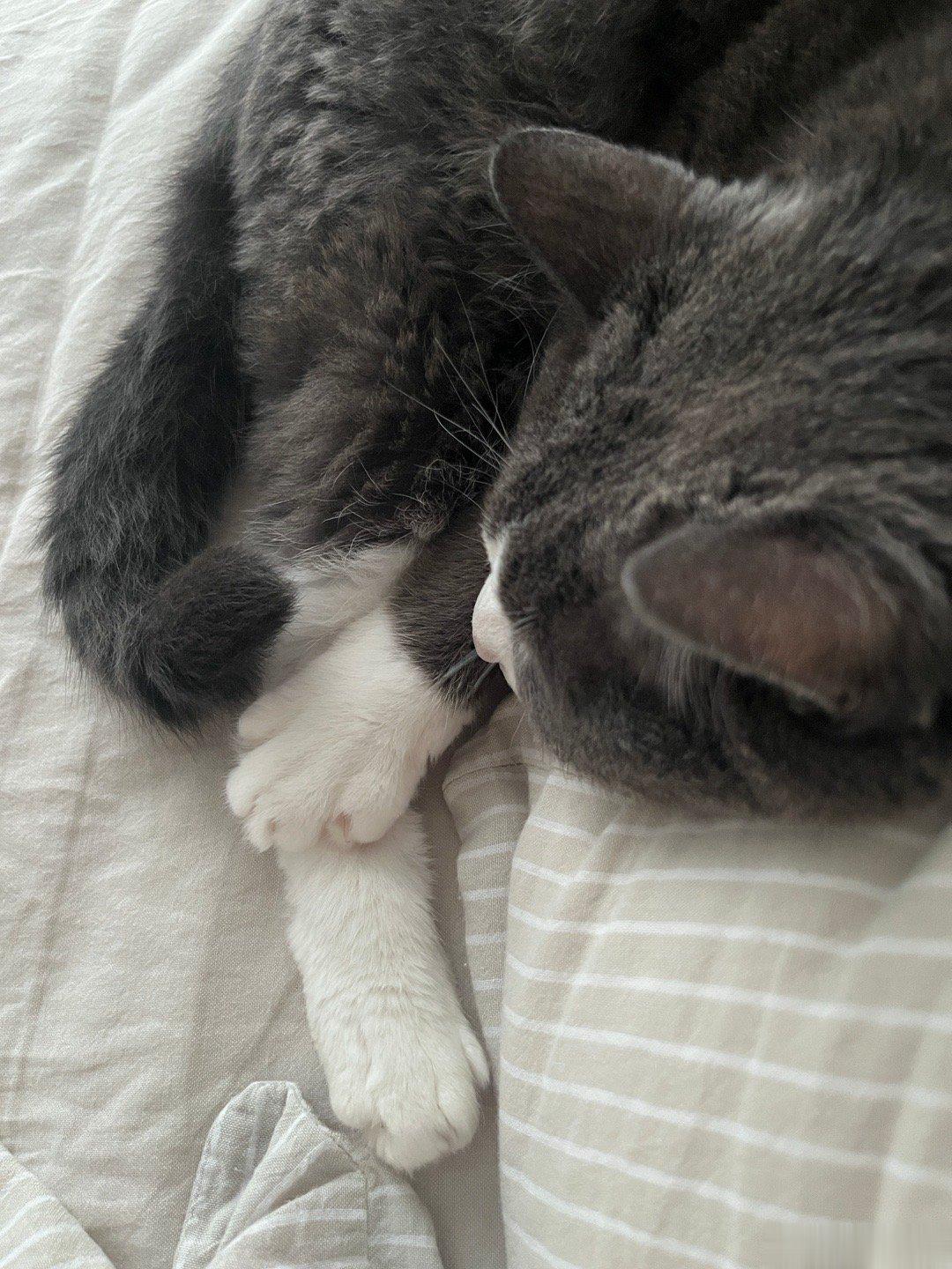 💤💤 ​​​