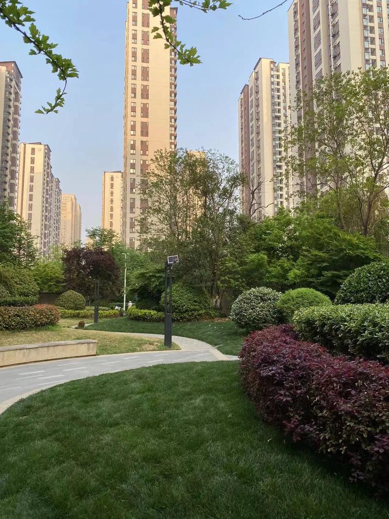 2026年1月1日，沉睡三十余年的《城市居民委员会组织法》完成首次全面修订正式施