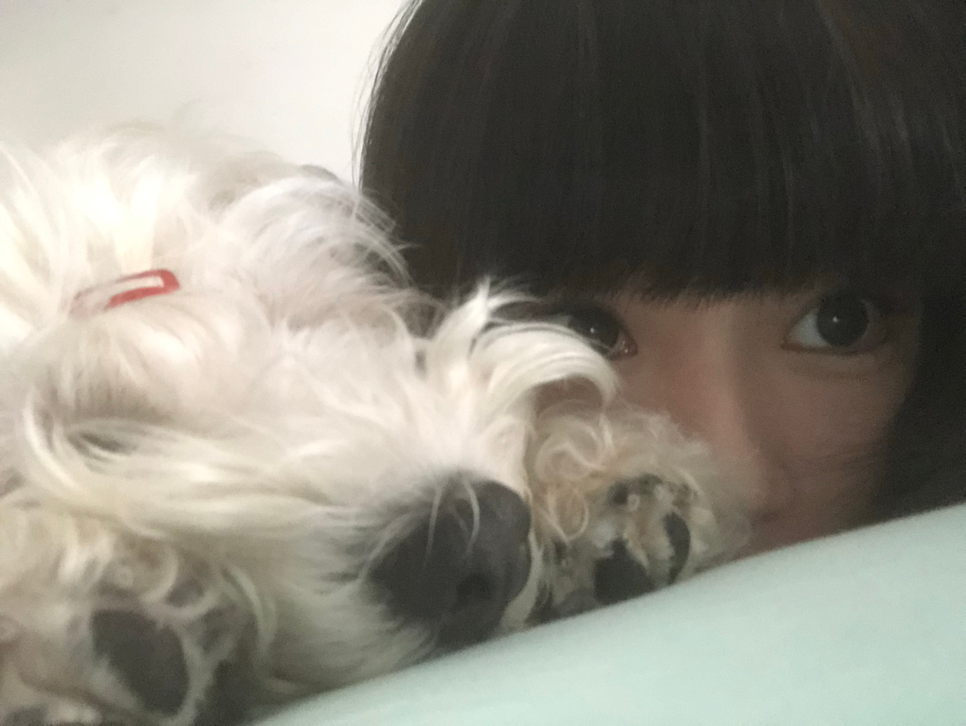 小狗脚丫臭臭🐾 