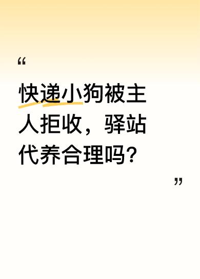 近日，一只在菜鸟驿站的快递小狗引发关注。这只小狗被主人拒收后，驿站已经代养了一个