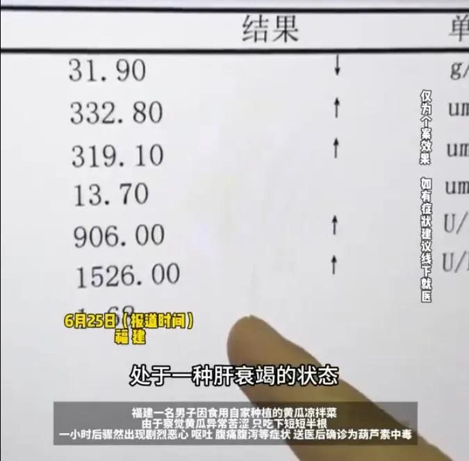 福建一男子就因为吃了半根发苦的凉拌黄瓜，直接把自己吃进了ICU，确诊急性肝衰竭！