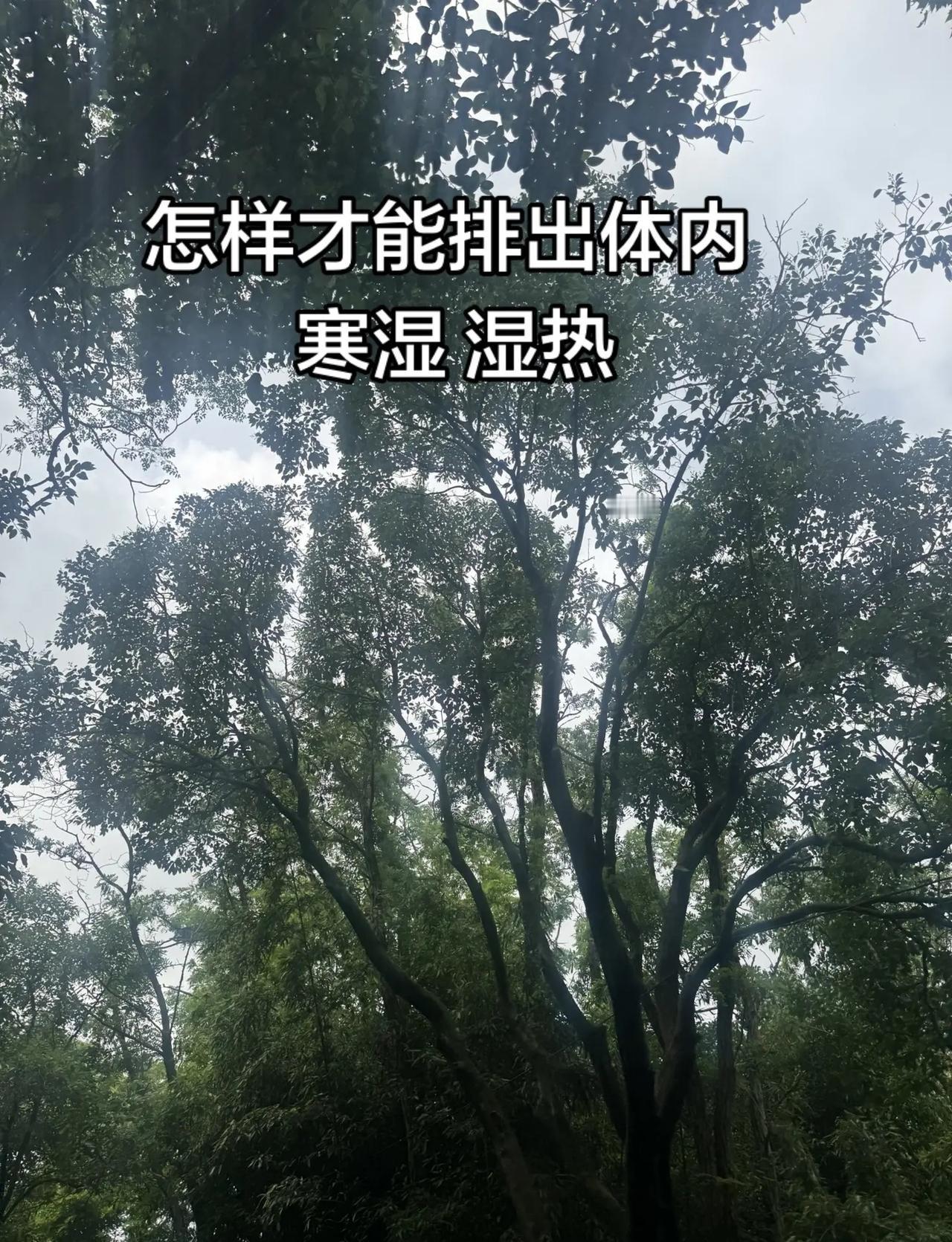 斯诺克世锦赛13.9万人参与去发布〉体坛新星登临巅峰，吴宜泽书写全新历史，强势拿