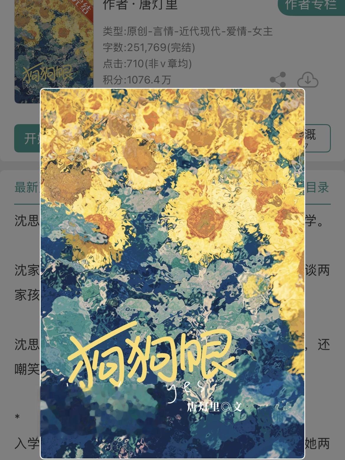 慵懒佛系拽姐vs真诚炽热小狼狗。慵懒佛系拽姐vs真诚炽热小狼狗 ※1V...