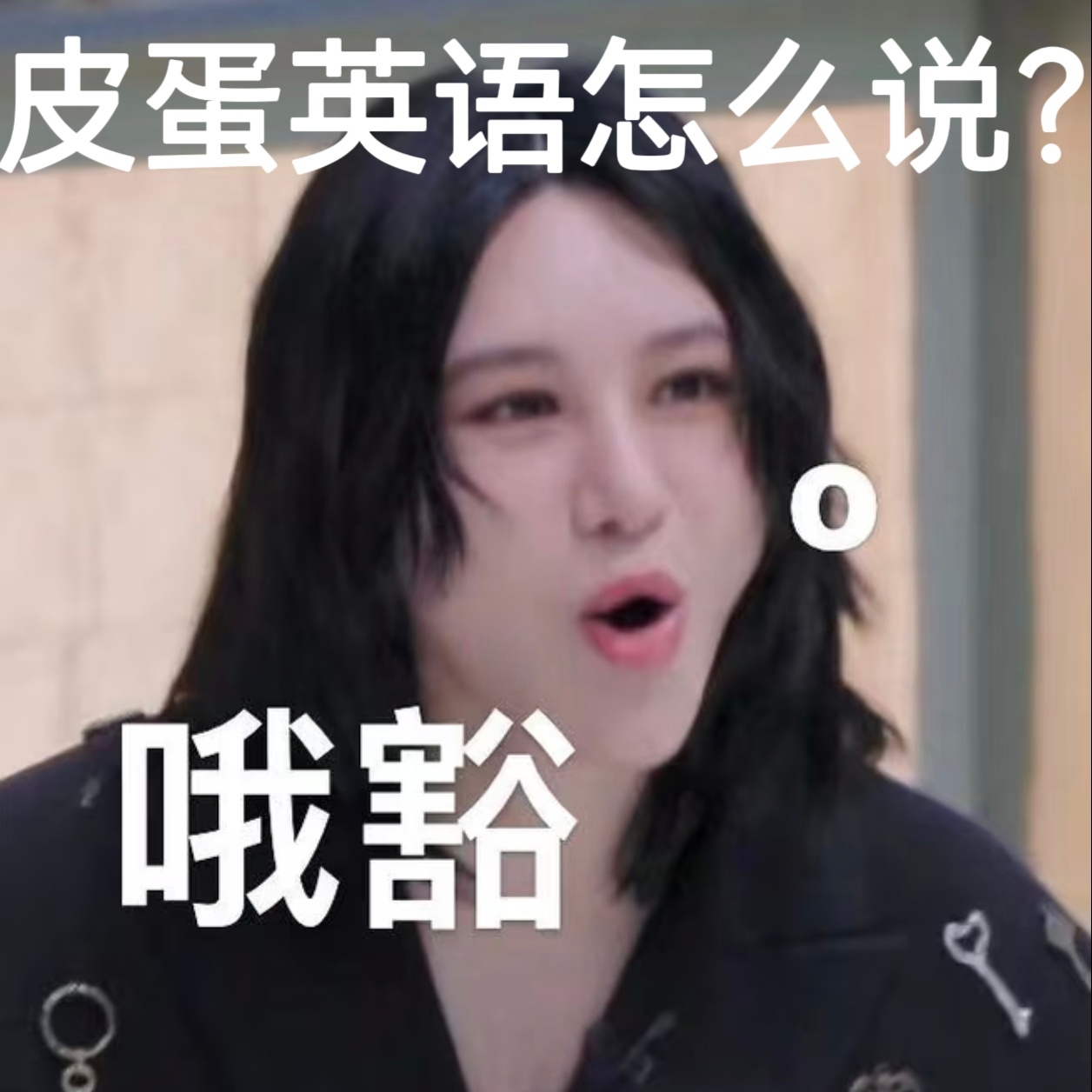 尚雯婕不会翻译皮蛋竟然还有尚雯婕不会翻译的词汇诶，姐姐把皮蛋翻译成千年蛋，快来救
