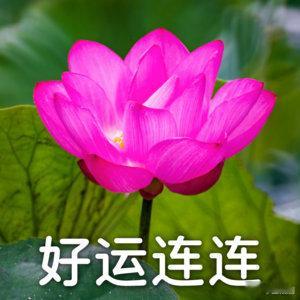 我已经发动了我的人脉汇聚零散资源统筹规划，谨记成功离不开天时地利人和，而个人才华