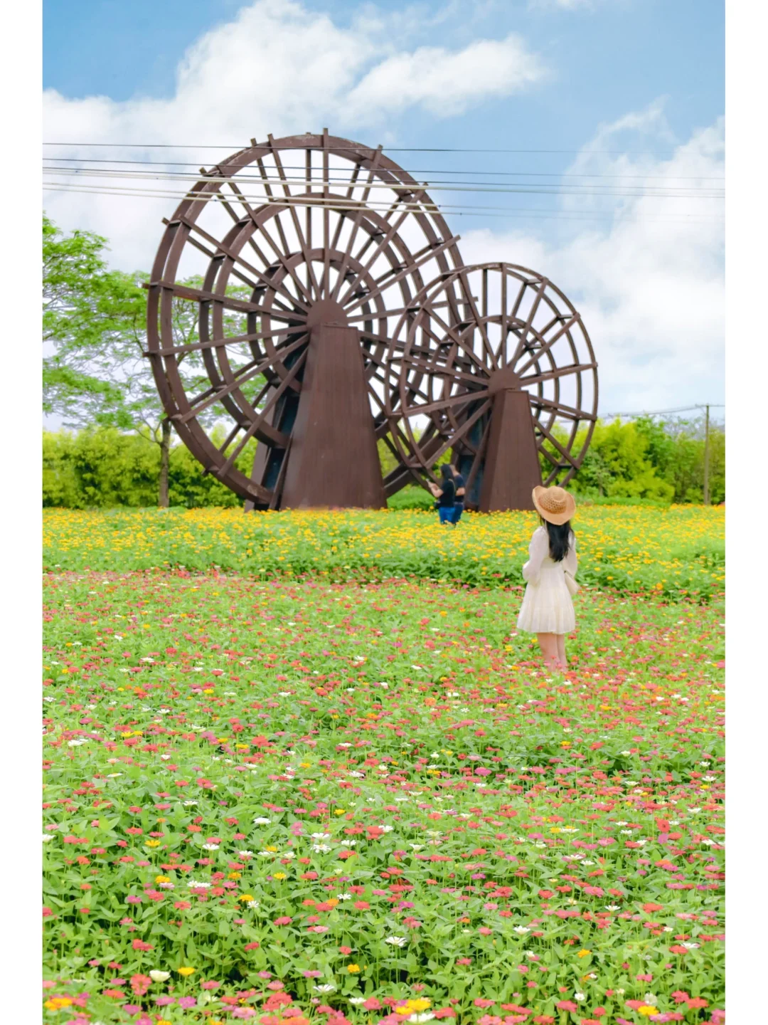 广州周边｜这座水乡花岛🌼很适合休闲度假⛱️