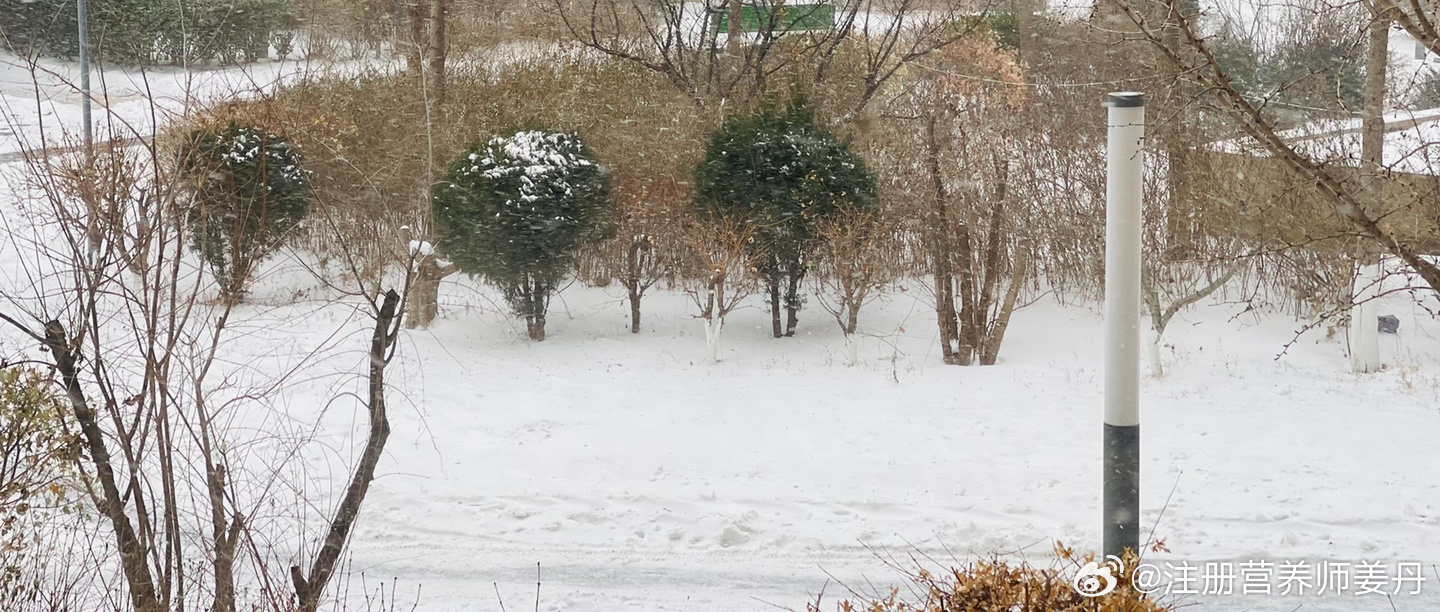 好像明天还继续下雪❄️ ​​​