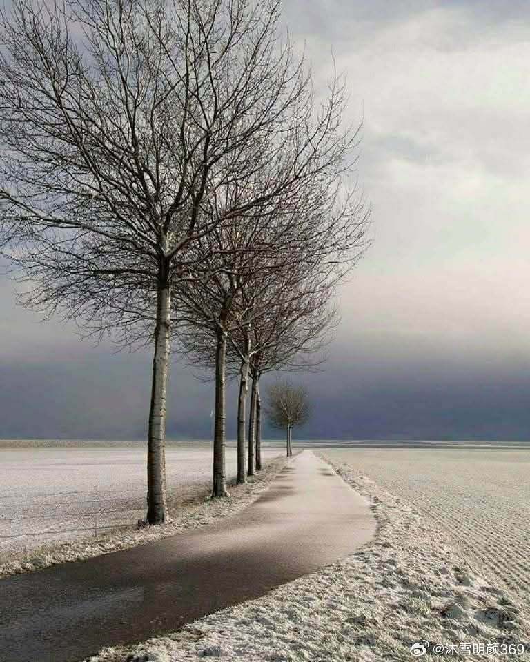 “当你开始走上这条路时，路就会出现。”——鲁米 