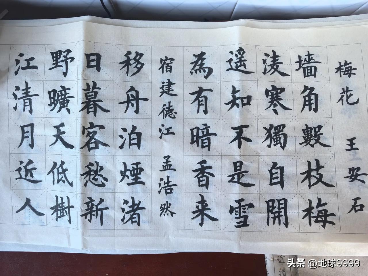 诗意在笔下，坚持来临摹。

临摹诗歌，妙不可言。临摹王安石的《梅花》时感触更深。