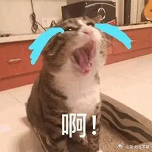 朋友说，看到好几个短剧的导演，在直播中说，他们都把拍好的短剧压着，准备等8月，看