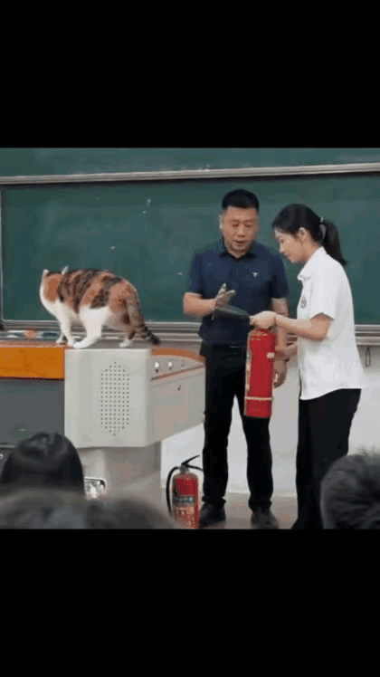 咋样？
和我玩，你还嫩点儿，想算计你猫爷，门儿都没有，这下知道俺的厉害了吧？人在