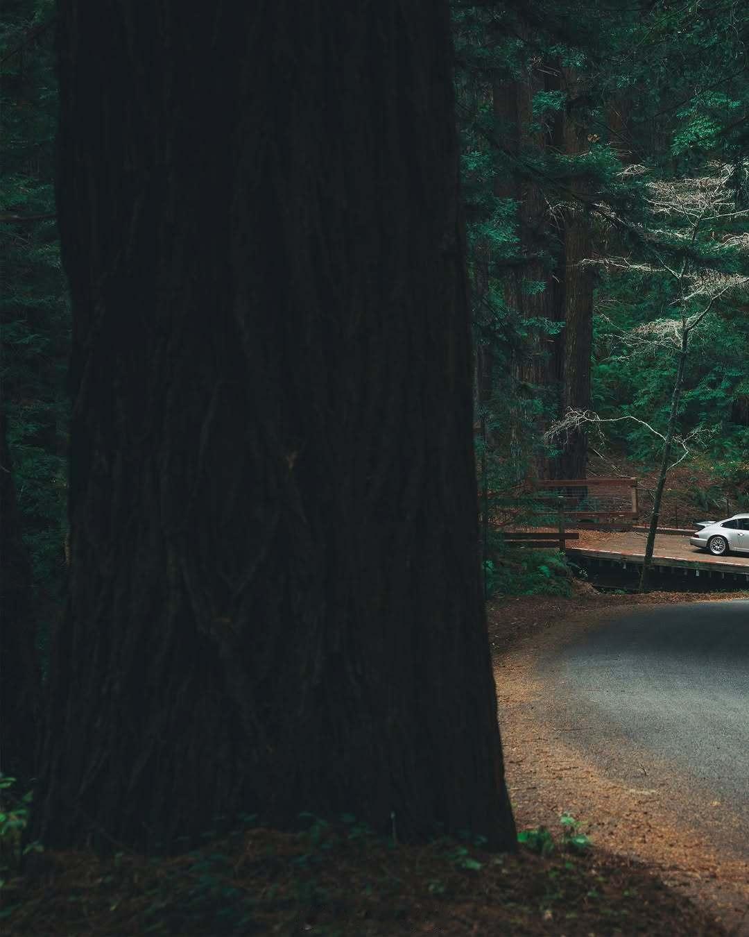 porscheclassic 911 964