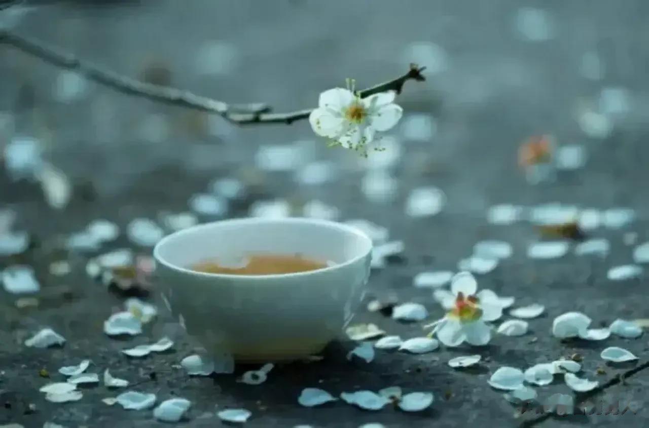 经历了挫折，你才读懂了人生；受到了欺骗，你才看破了红尘。目之所及，皆是痛苦的回忆