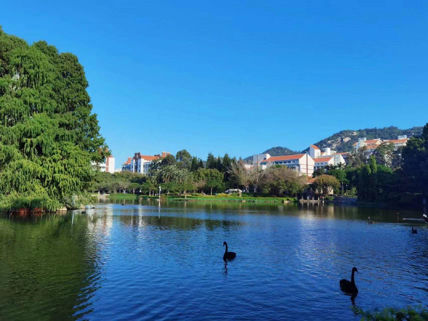 厦门大学，重游 ​​​