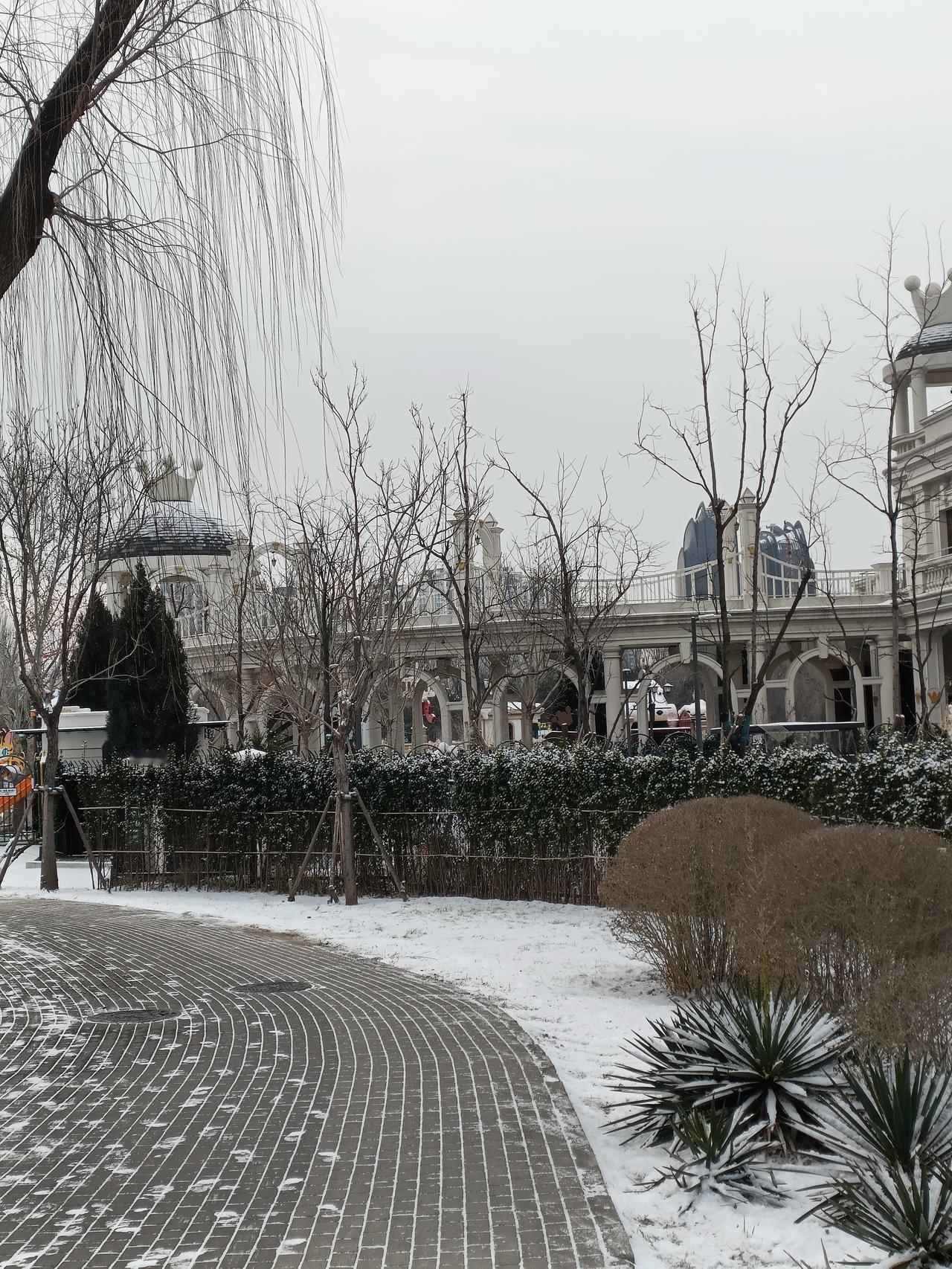 晒图笔记大赛雪后美景还看今朝