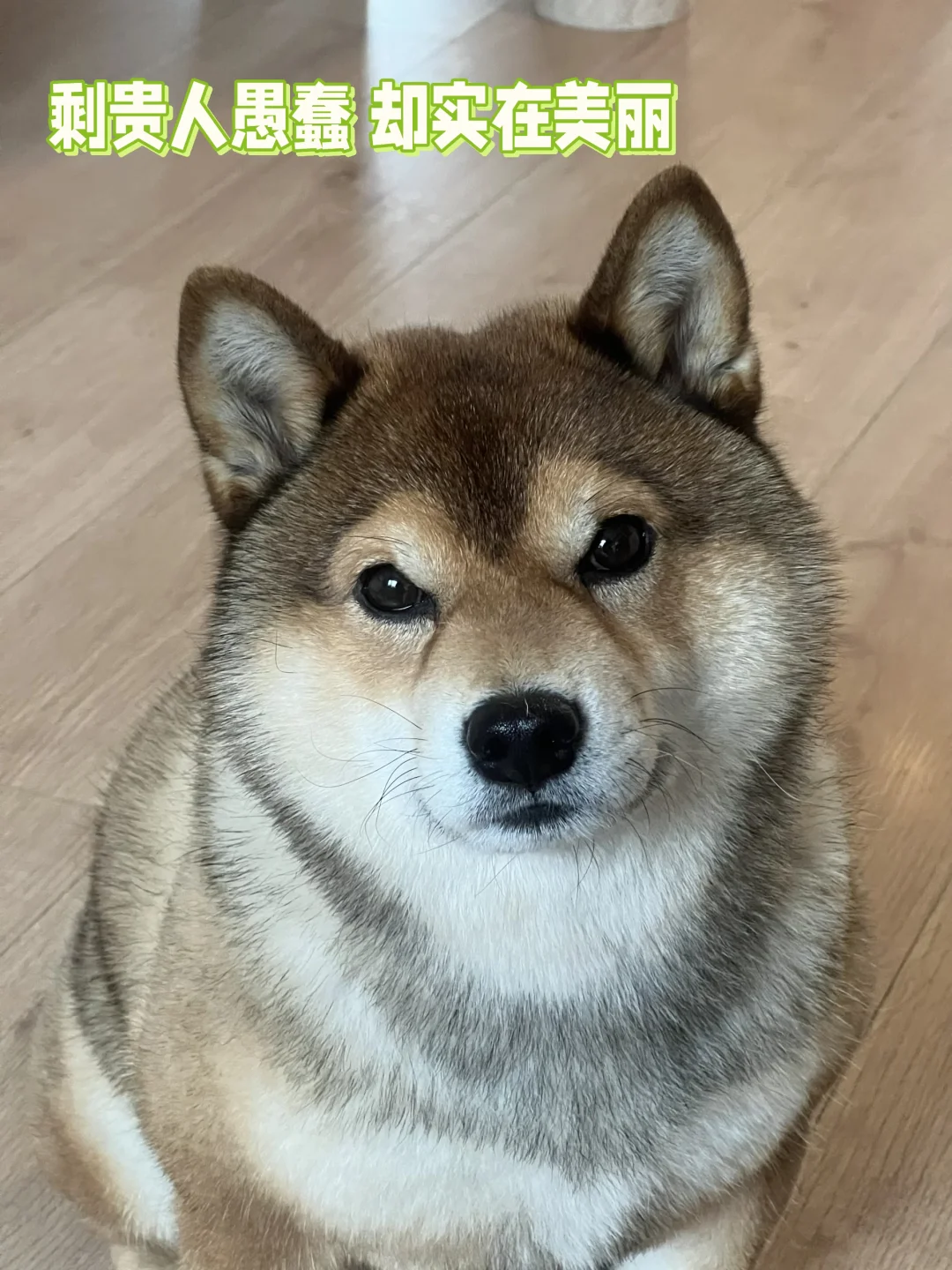 可曾读过什么书