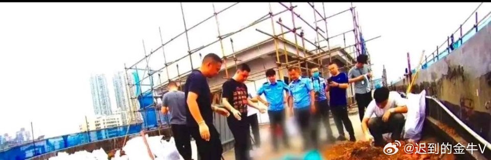 女子杀闺蜜埋尸28年指认时磕头痛哭四川泸州花坛白骨案细节看得人脊背发凉。28年前