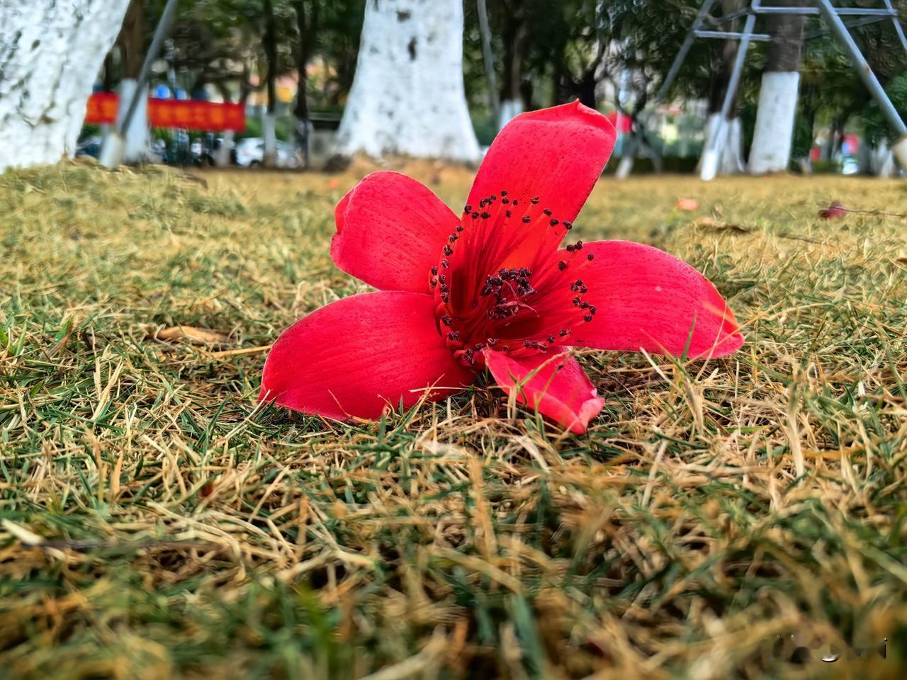 生活繁杂易心烦？告别焦虑内耗小方法

在日常生活中，我们总会被琐事、杂音、得失牵