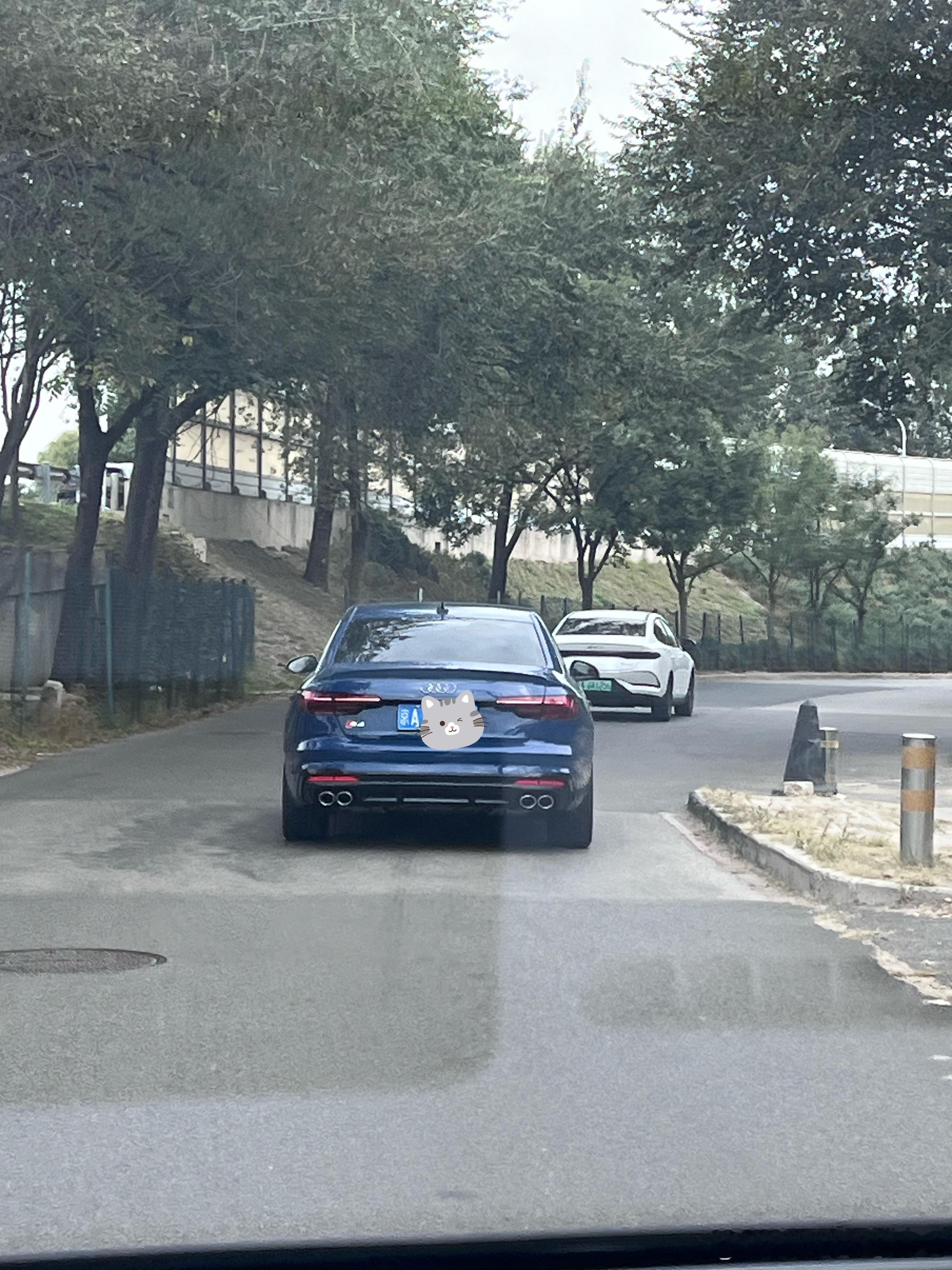 银耳、六缸，纯机械quattro 四驱。相对紧凑的中级车，开起来能不好玩么[二哈