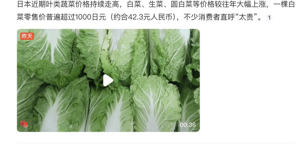 一颗白菜42元，但是你为啥不提一下收入差距呢？
对于这种问题，直接问豆包即可，做
