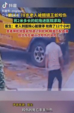 是个狠人！云南临沧，一大爷外出散步时，不慎被眼镜王蛇咬伤，不料，在送大爷去医院的