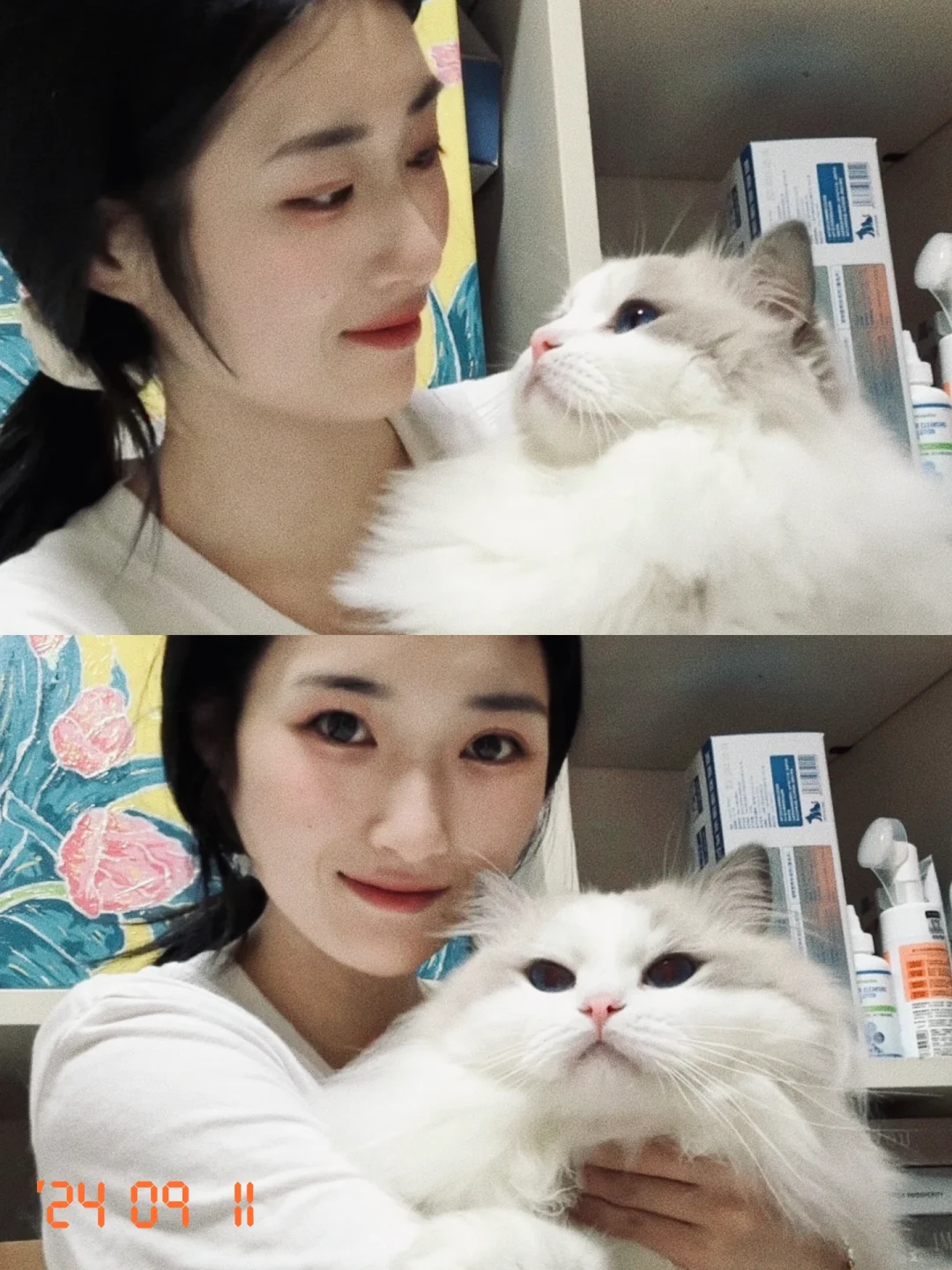 设计师裸辞➡️做到万粉博主的心路历程