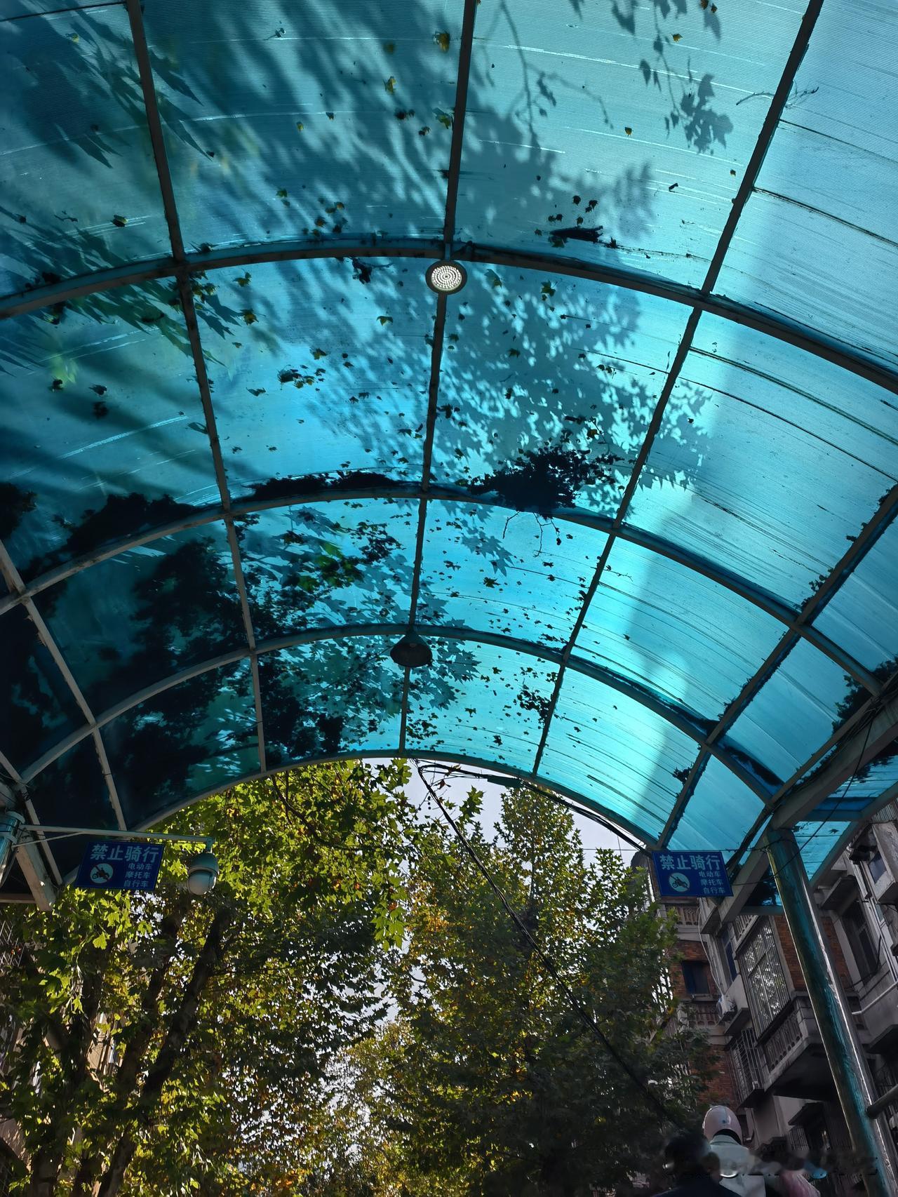 今天和朋友聊天，大家说起小时候经历过的最幸福的一件事情是什么？小时候有次生病呕吐