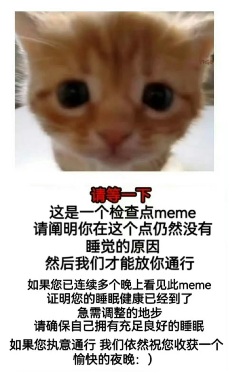 在干嘛 