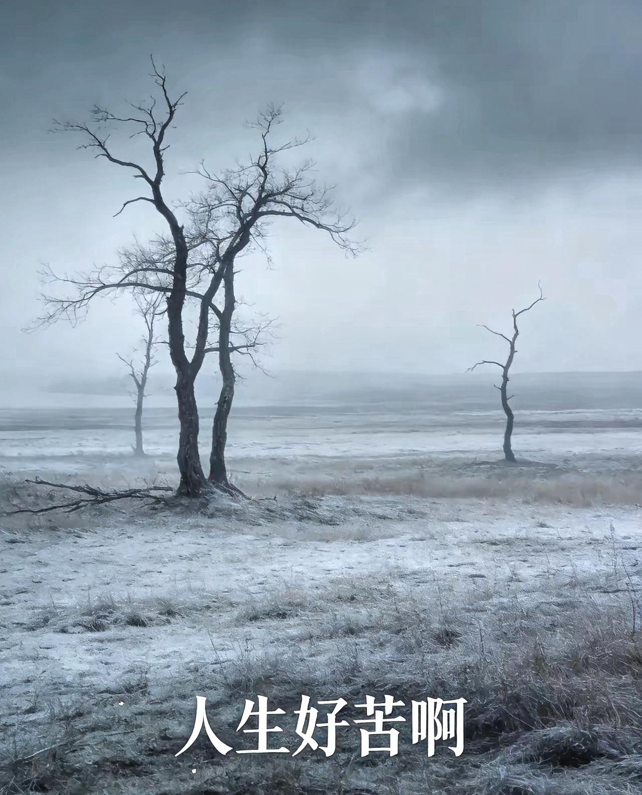 人生好苦啊！
       今天上午，妻子告诉了我一个非常悲痛的消息。四年前失去