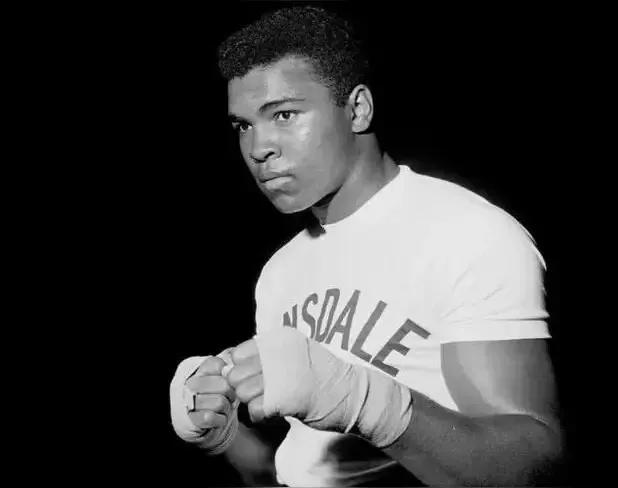 重量级历史前十：拳王阿里第一，乌西克第二，刘易斯第三！
每个人心目中都有自己的历