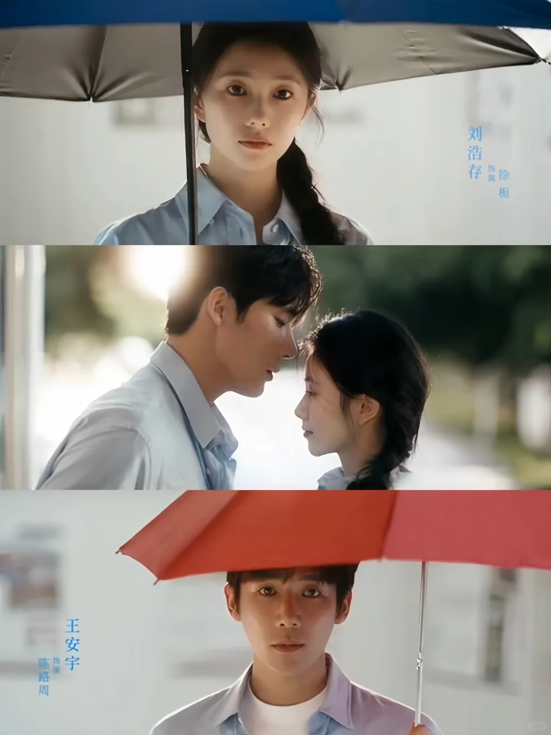 我宣布王安宇就是天选陈路周