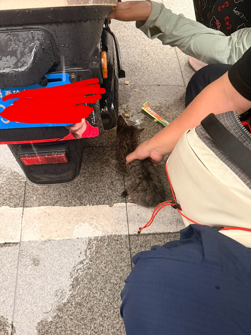 放学路上和大家一起救了一只小猫  因为是别人的车 万一不小心拆了算毁坏财物 所以