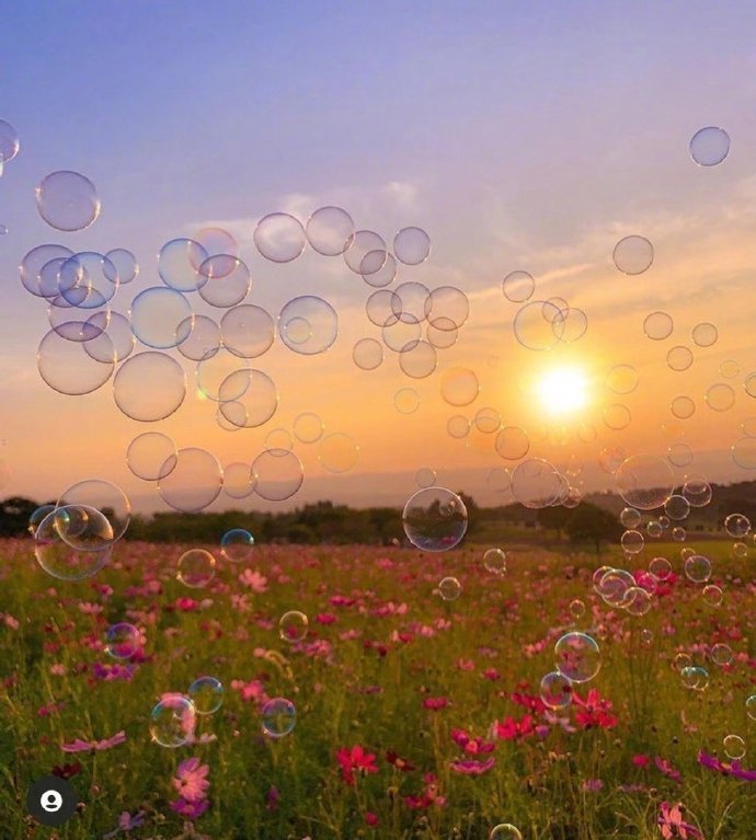 莫奈的后花园🌷🌼🌺🌻♡ 