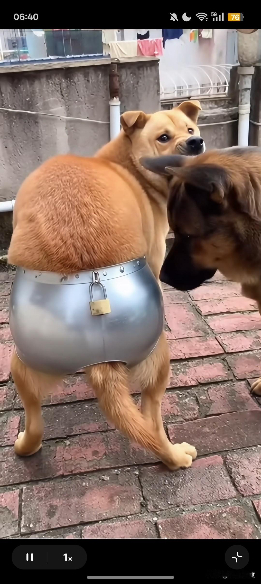 这是谁干的哈哈猜猜这是哪 哈哈这是来活了