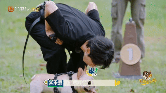 谁家综艺五个人都命苦又好笑 敖子逸、余承恩、颜安、沙一汀、范世錡——人类驯服修狗