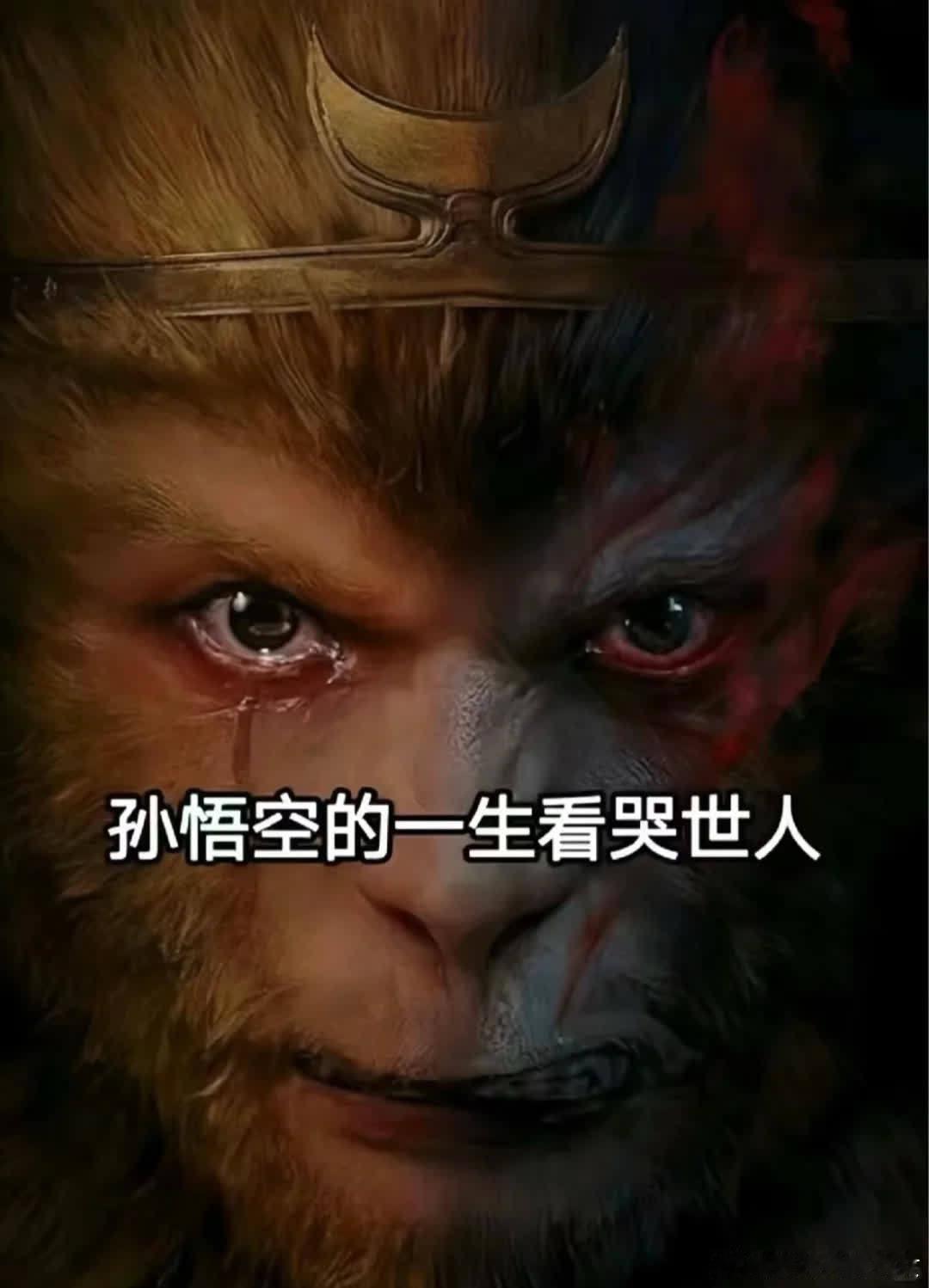 观后感：孙悟空，实为最惨之人。有背景方能存活，无背景则一棒毙命。非打不过，实乃想