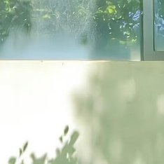 🍃一方窗框兜住满枝青影，光影摇晃，是独属于盛夏的安宁 