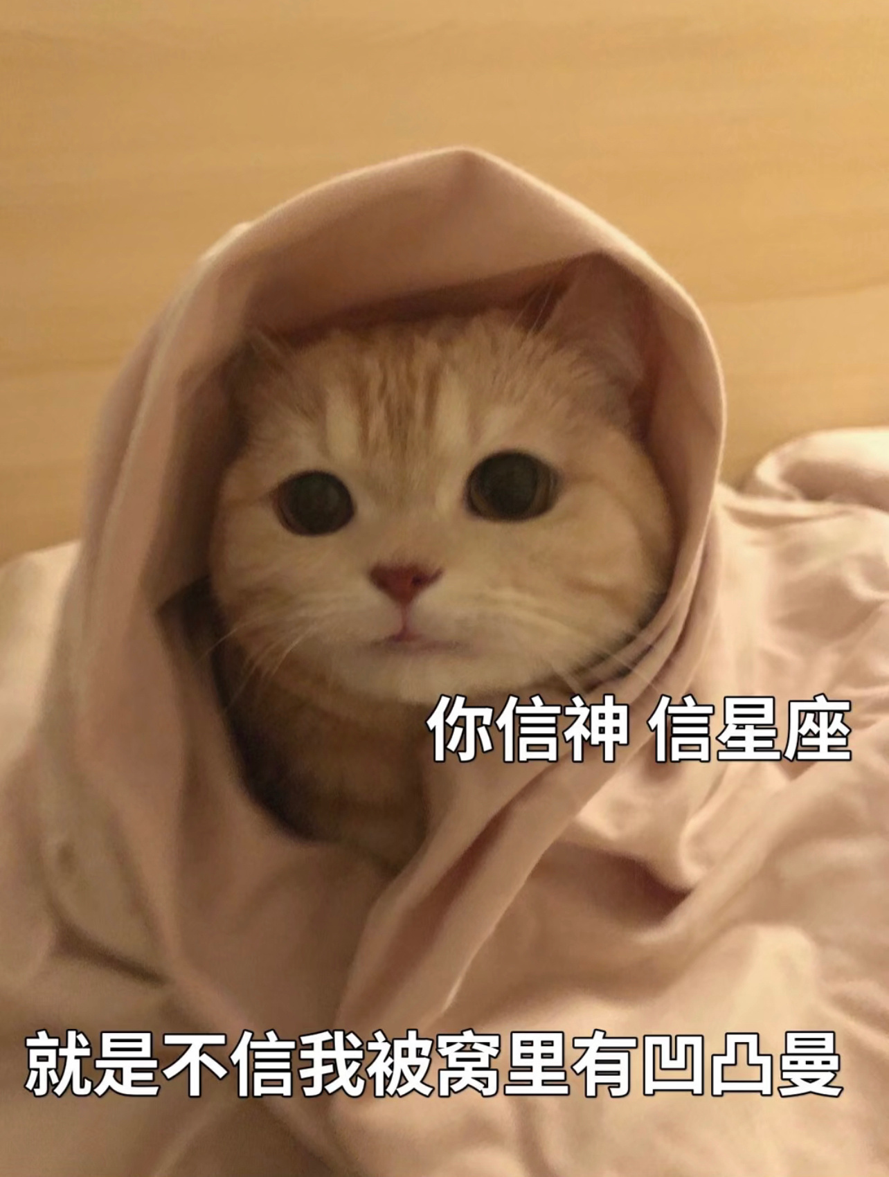 6个群有3个群在斯比，电影群和科技群都因为意识形态在打架