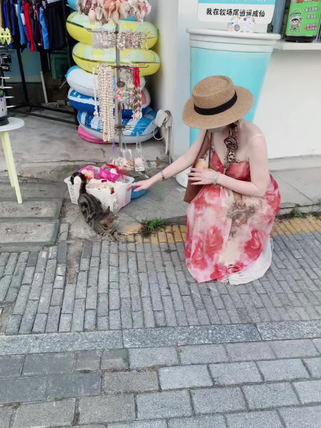 猫咪居然主动给我摸耶 好乖啊 喵喵