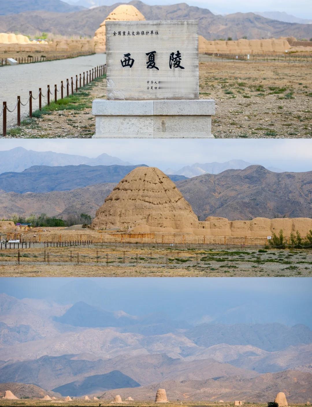 最令我震撼的是那种“死寂中的生命力”。
在贺兰山的灰蓝色背景下，那些被风蚀得斑驳