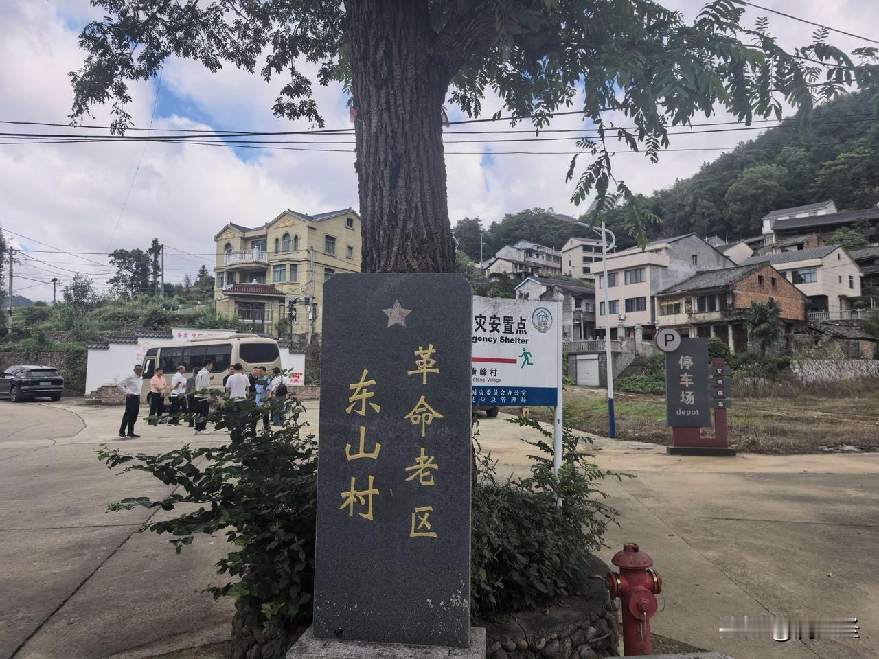 刚在村口随手拍的，镜头里刚好框进老苦槠树、立在树旁刻着“革命老区”的青石碑，树后
